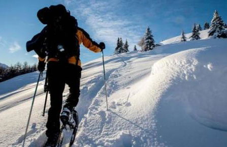 Elegance Mountain Edolo Ponte di Legno - Foto 53