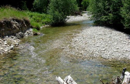 Elegant Mountain Cabin Rental in Bitterroot National Forest, Montana - Foto 5