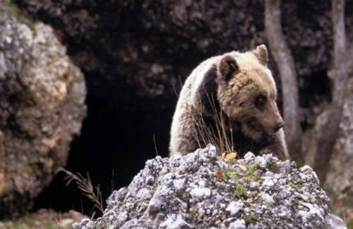 Blue Eyes Centre Free Parking - Foto 29