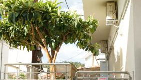 Houseloft Elassona center - Photo 5