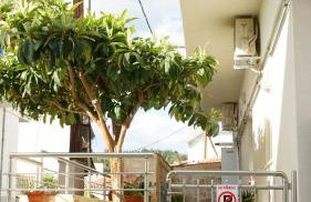 Houseloft Elassona center - Photo 5