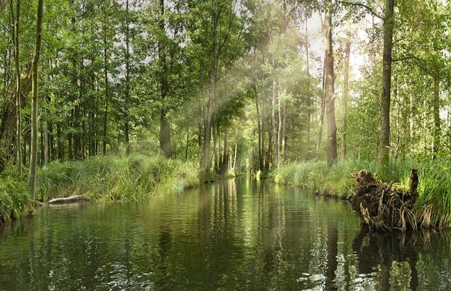 Appartements mit Blick auf die Spree in Lubben - Foto 15