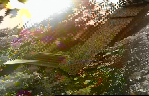 Lugar da Pedra Alta - Foto 47