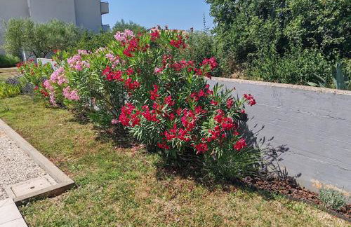 Apartments Oleander Lovrečica-residence with pool - Photo 12