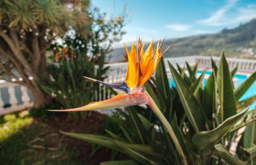 GuestReady - Peaceful Paradise in Madeira - Foto 29