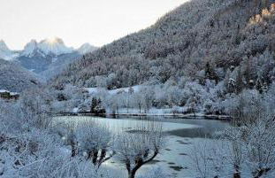 Location MarjoRI - T3 Le Kakariki - Foto 15