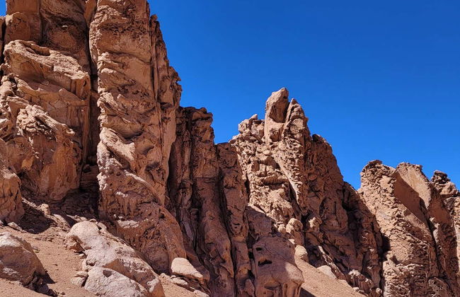 Atacama Salt Flats Tour - Photo 5