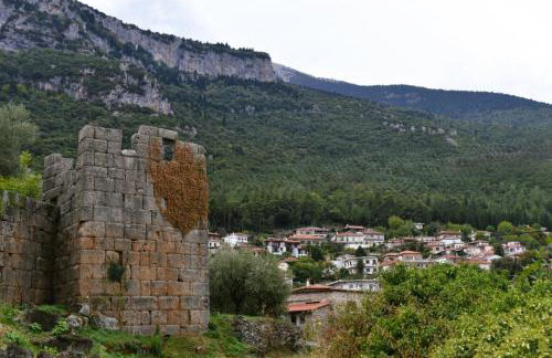 Το ΦΑΡΑΓΓΙ Του ΠΑΡΝΑΣΣΟΥ - Foto 23