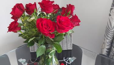 Glenwood luxury Cottage Betws-y-coed - Foto 3