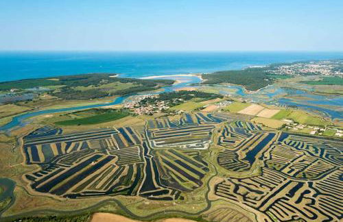 "NAUSICAA" Maison 6 personnes, 2 chambres, jardin clos, proche plage et forêt, chiens acceptés - Foto 21