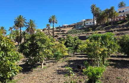 Galeón Ossorio Vistas Panoramicas - Foto 32