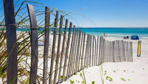 Our Destiny - Foto 3