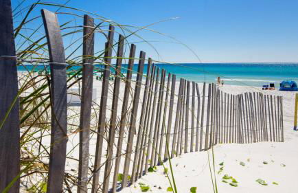 Our Destiny - Foto 3