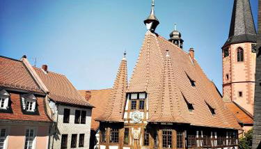 Schwarzer Adler - Foto 3