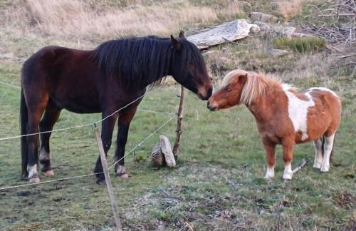 Casa do Loureiro - Foto 25