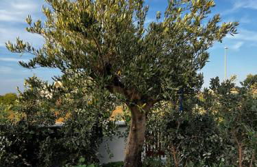 MyCircle Stintino - Foto 18