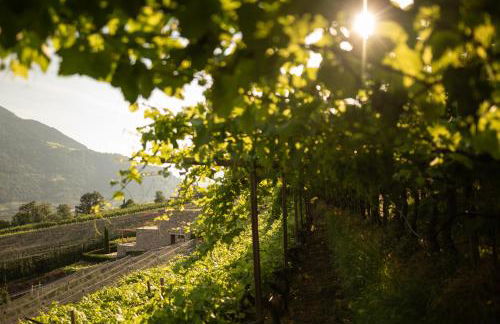 Pergola Residence - Foto 62