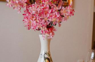 NAPAIMBE Sierra - Foto 53