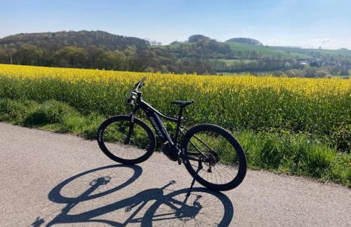 Luxe, landelijke vakantiewoning der alte Birnenbaum Duitsland-Sankt Wendel - Foto 70