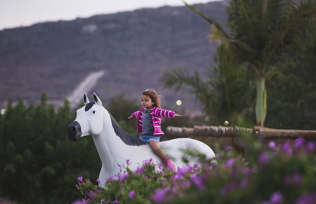 Hotel Portal de Gravatá - Foto 27