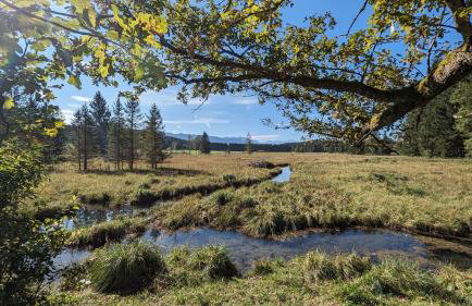 LIBORIA I Traumhafte Ferienwohnung in Aidling am Riegsee - Foto 6