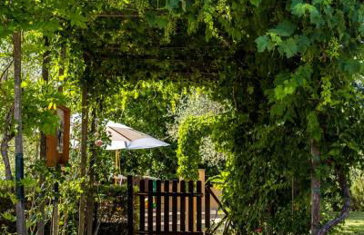 Agriturismo La Fonte - Photo 41