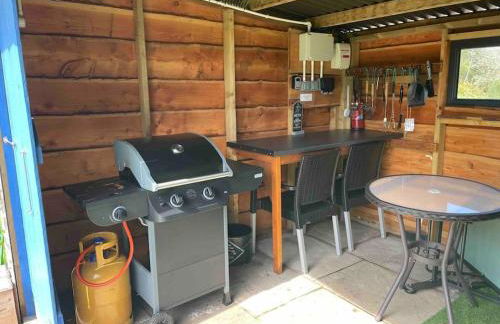 Pembrokeshire Shepherd hut with hottub - Foto 10