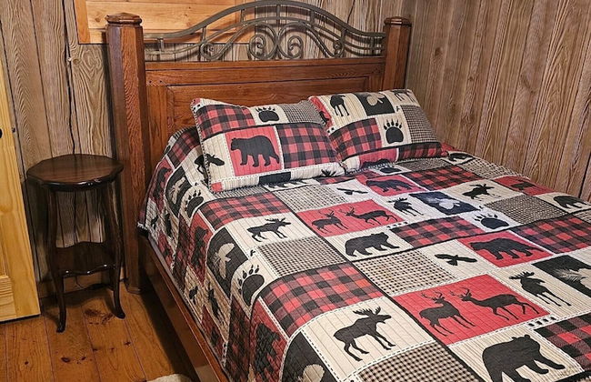 Butler's Bay Teal Lake Cabin - Photo 6