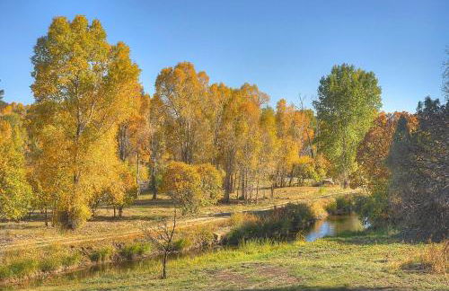 Pine River Model Cabin 1 BR Bayfield - Foto 43