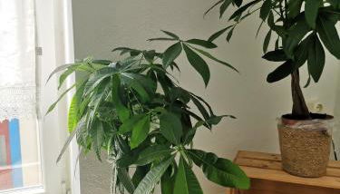 Old Town House - Foto 3