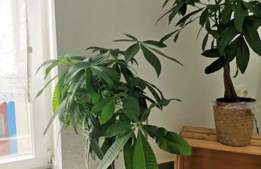 Old Town House - Foto 3