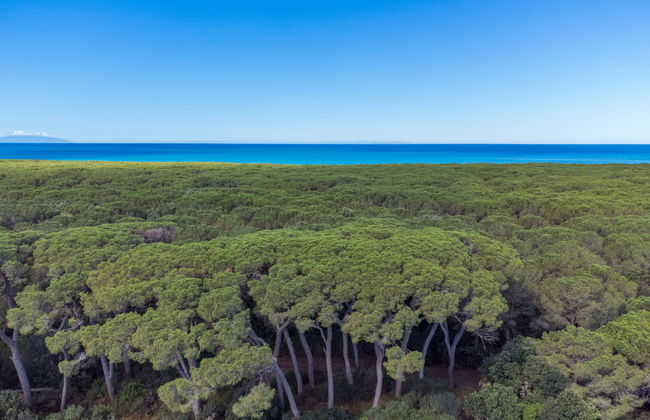 Cecina Mare - Foto 21