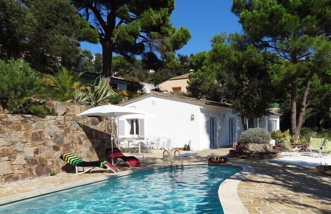 Danlux Palmera - Foto 1