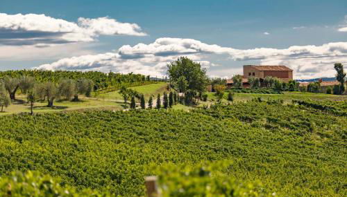 Pecora Vecchia - ColleMassari Hospitality - Foto 3