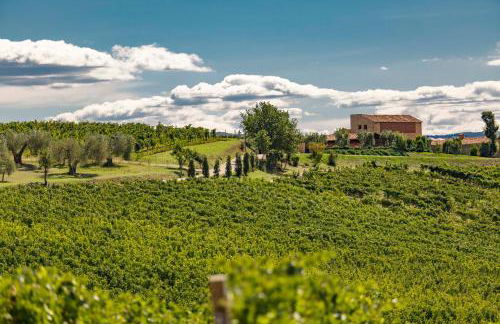 Pecora Vecchia - ColleMassari Hospitality - Foto 3