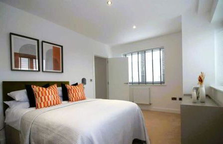 Sophisticated 2 Bedroom apartment in Solihull NEC - Foto 26