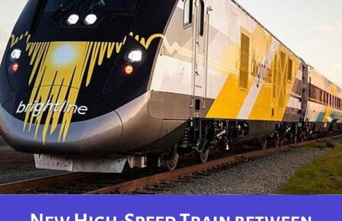 Wellington Garden - Foto 43