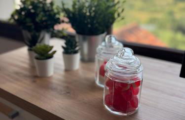 el mirador de ona - Foto 1