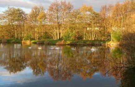 Brightwater Lodge - Photo 20