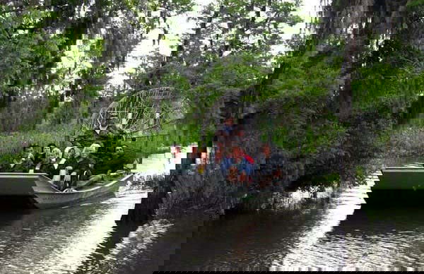 Balade en aéroglisseur dans la Réserve de Barataria - Photo 7