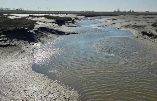 Nurdachhaus mit Blick ins Grüne- ruhige Lage nahe Yachthafen Fedderwardersiel - Foto 31