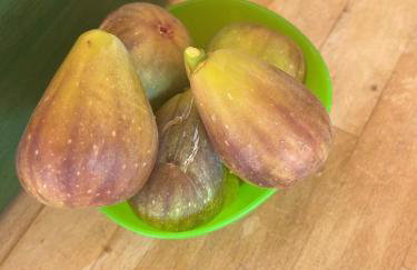 Villa Ella - Photo 41