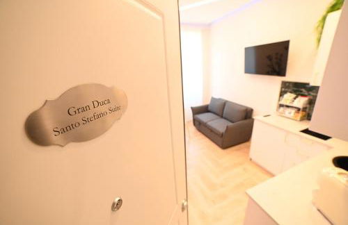 Gran Duca Santo Stefano Suite ZONA CASALE VICINO AEROPORTO - Foto 9