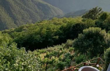 Home Holidays Crasciana, con terrazza vista sulle Alpi Apuane. - Foto 22