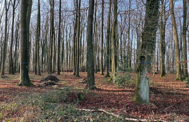 Ferienwohnung in Bissendorf - Foto 32