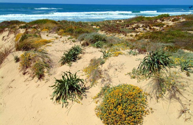 Cozy Flat Just Steps From Baia Delle Mimose Beach - Foto 17