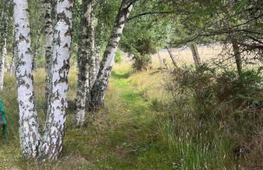 Charming cottage close to the Cairngorms - Foto 9