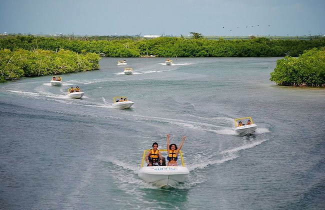 Jungle Tour - Mangroves & Snorkel For Couples - Photo 2