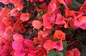 sunset apartment - Foto 22