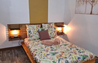 Bords de Loire hypercentre Orléans 2 personnes - Photo 5